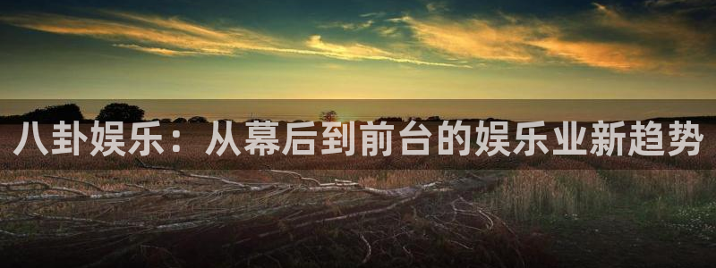 门徒平台注册中心：八卦娱乐：从幕后到前台的娱乐业新趋势