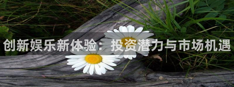 门徒娱乐官方平台入口：创新娱乐新体验：投资潜力与市场机遇