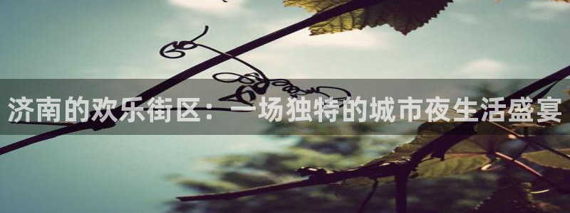 门徒娱乐登陆官网：济南的欢乐街区：一场独特的城市夜生活盛宴