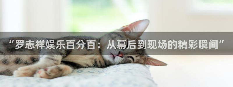 门徒平台登录注册：“罗志祥娱乐百分百：从幕后到现场的精彩瞬间”