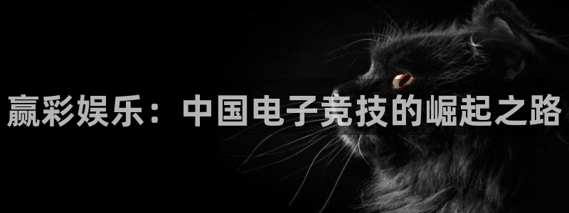 门徒平台登录地址：赢彩娱乐：中国电子竞技的崛起之路