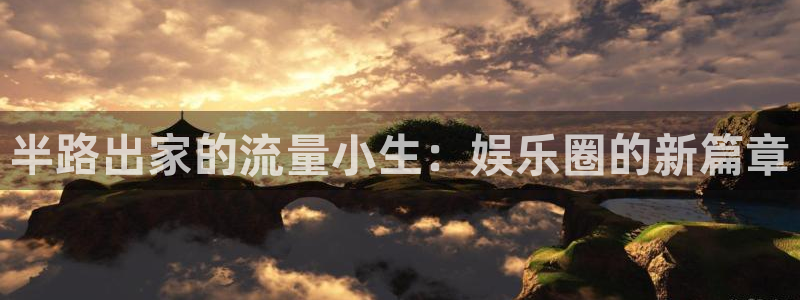 门徒平台登录地址：半路出家的流量小生：娱乐圈的新篇章
