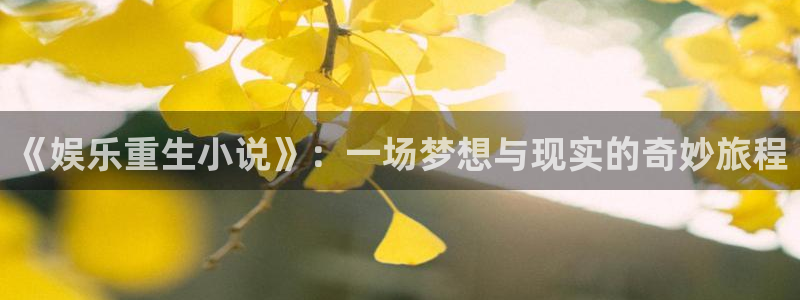 门徒娱乐登陆官网：《娱乐重生小说》：一场梦想与现实的奇妙旅程