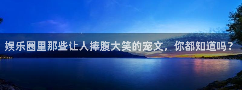 门徒娱乐：娱乐圈里那些让人捧腹大笑的宠文，你都知道吗？