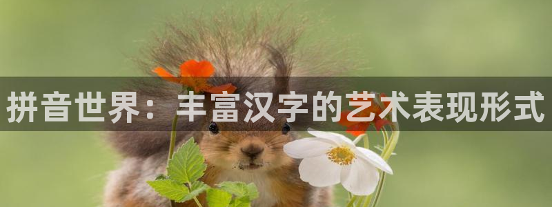 门徒平台登录地址：拼音世界：丰富汉字的艺术表现形式