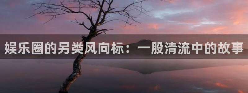 门徒娱乐官方平台入口：娱乐圈的另类风向标：一股清流中的故事