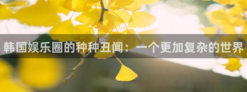 门徒平台注册中心：韩国娱乐圈的种种丑闻：一个更加复杂的世界